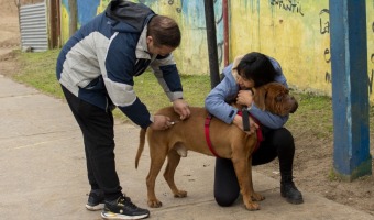 ZOONOSIS REALIZ UNA NUEVA JORNADA DE ATENCIN EN EL COMUNITARIO SUR