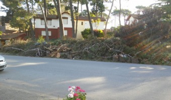 Se labr infraccin a un Apart hotel por arrojar restos de poda y material de construccin