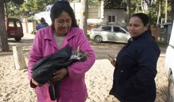 SE ESTERILIZARON 20 ANIMALES EN LA JORNADA DEL BARRIO LAS PRADERAS