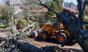 CORRALN AVANZA EN LOS TRABAJOS TRAS EL TEMPORAL