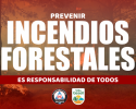 PREVENGAMOS LOS INCENDIOS FORESTALES