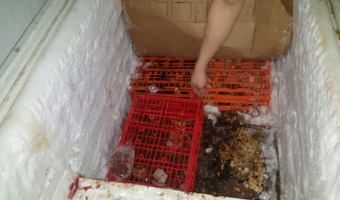 Decomiso de 500kg de Carne y clausura a supermercado
