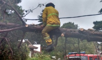 Declaracin de Emergencia Municipal por tormentas severas