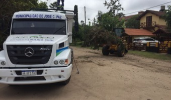 Continan las tareas de remocin de rboles por el temporal