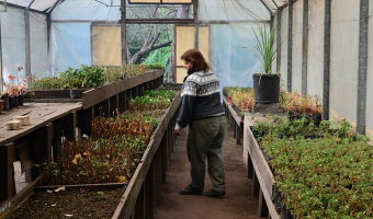 El programa Pro Huerta funciona con xito en el Vivero Municipal