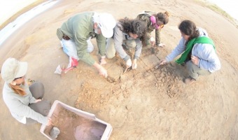 Nuevos hallazgos arqueolgicos en la Reserva Faro Querandi