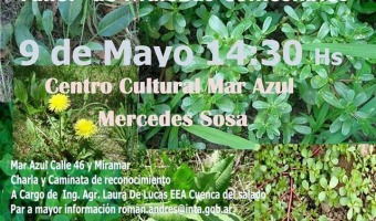 Taller sobre malezas comestibles locales