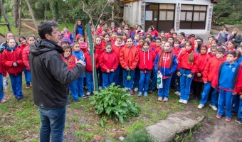 REFORESTACION DEL PINAR DEL NORTE: LOS MS CHICOS DAN EL EJEMPLO