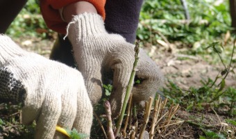 ENTREGA DE SEMILLAS EN EL VIVERO MUNICIPAL