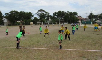 Intensa actividad en el Polideportivo