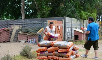 MS ALIMENTOS PARA LAS MASCOTAS