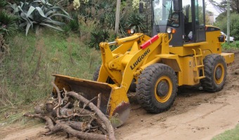 CONTINA LA LIMPIEZA DE RAMAS CADAS POR EL TEMPORAL