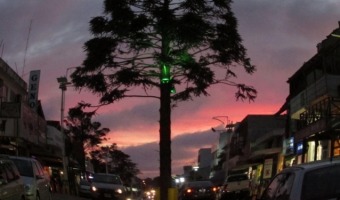 Actividades para el descanso invernal