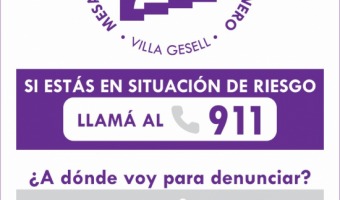 LNEAS DE ATENCIN PARA SITUACIONES DE VIOLENCIA POR RAZONES DE GNERO