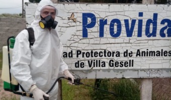 LA DIRECCIN DE ZOONOSIS REALIZA FUMIGACIONES EN PROTECTORAS DE ANIMALES