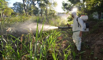 ZOONOSIS FUMIG EN LAS ZONAS DE RESERVORIOS