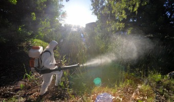 ZOONOSIS CONTINA CON EL PLAN DE FUMIGACIN
