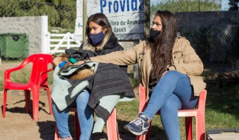EXITOSAS JORNADAS DE CASTRACIN EN REFUGIOS
