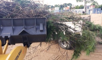 LOS CORRALONES MUNICIPALES SIGUEN CON LA RECOLECCIN DE PODA EN TODO EL PARTIDO