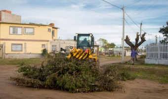 INCESANTE TRABAJO DE LOS CORRALONES MUNICIPALES