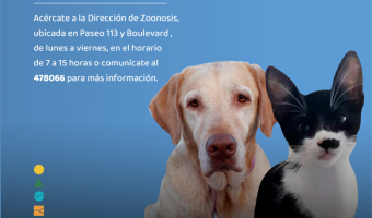 HASTA EL 30 DE JUNIO, VETERINARIAS PRIVADAS CON EL APOYO DE ZOONOSIS APLICAN GRATIS LA VACUNA ANTIRRBICA