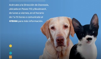 ZOONOSIS RETOMA LAS JORNADAS DE VACUNACIN ANTIRRBICA EN BARRIOS