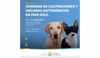 ZOONOSIS PLANIFICA NUEVAS JORNADAS EN MAR AZUL PARA SEPTIEMBRE