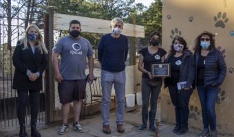 APAADE CUMPLI 15 AOS DE TRAYECTORIA AL CUIDADO DE LOS ANIMALES SIN HOGAR