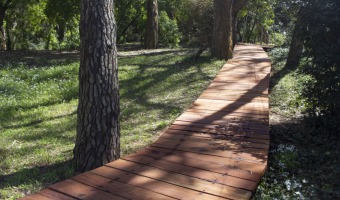 EL BOSQUE Y LA PLAYA, CONECTADOS A TRAVS DE UNA NUEVA RAMBLA