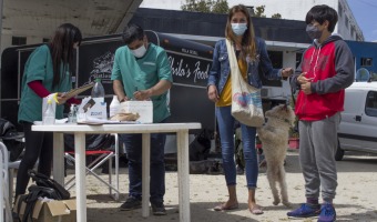 ZOONOSIS REALIZ MS DE 90 ATENCIONES VETERINARIAS EN SU LTIMA JORNADA