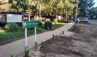 Finalizan las sendas peatonales en Mar de las Pampas