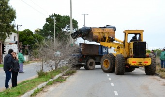 Trabajos de embellecimiento en la zona de la Nueva Terminal