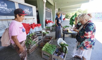 CONTINA EL VERDURAZO EN EL SUR DE VILLA GESELL