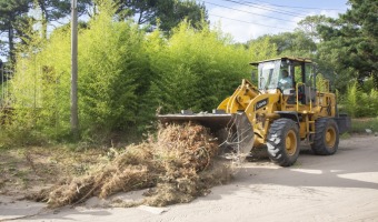 CORRALN AVANZA CON LOS TRABAJOS DE LIMPIEZA Y MANTENIMIENTO EN LA CIUDAD