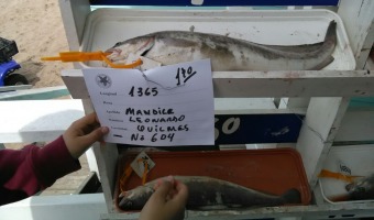 Ms de 800 pescadores participaron en la Fiesta Nacional de la Brtola