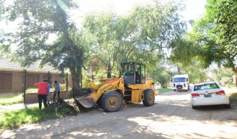 RECOLECCIN DE RESTOS DE PODA: FINALIZAN LOS TRABAJOS EN LA CARMENCITA E INICIAN EN MONTE RINCN