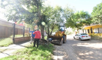 CORRALN CONTINA CON LOS TRABAJOS DE LIMPIEZA EN MONTE RINCN