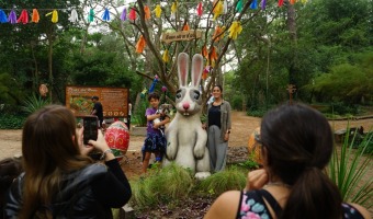 FIN DE LARGO EN GESELL: PASCUAS EN EL BOSQUE, VIACRUCIS Y MUSEOS ABIERTOS