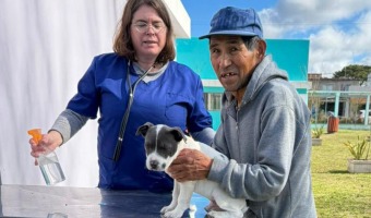 ZOONOSIS: SE REALIZ UNA JORNADA DE ATENCIN EN EL CAPS NORTE