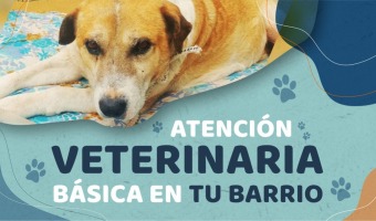 NUEVA JORNADA DE ATENCIN VETERINARIA EN POLO CULTURAL SUR