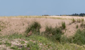 ANIVERSARIO DE LA RESERVA NATURAL FARO QUERAND