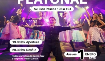 APERTURA DE LA PEATONAL