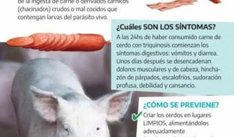 SALUD: RECOMENDACIONES PARA PREVENIR LA TRIQUINOSIS