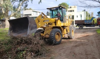 CONTIN�A EL OPERATIVO DE RETIRO DE RAMAS DE LA V�A P�BLICA