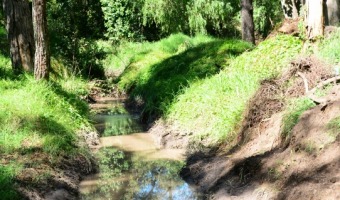 Punto final para un problema histrico: Se mejora el drenaje en Zona Norte