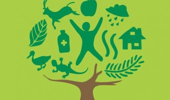 Da Internacional de los Bosques